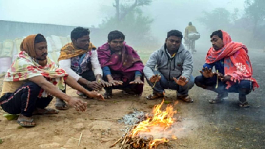छत्तीसगढ़ में पड़ रही जोरदार ठंड, छूट रही कंपकंपी, जमने लगी ओस की बूंदे