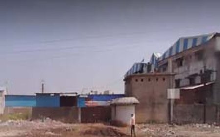 गुटखा कारोबारी के घर से 2.88 करोड़ कैश जब्त:रायपुर में सेंट्रल जीएसटी की टीम ने मारा छापा....