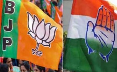 कांग्रेस-भाजपा दोनों दलों ने शुरू की लोकसभा चुनाव की तैयारी:लोकसभा में सबसे छोटी जीत मंडावी तो सबसे बड़ी दुर्ग सांसद विजय बघेल की