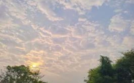 छत्तीसगढ़ में 17 और 18 जनवरी को बारिश की चेतावनी:सरगुजा संभाग के सभी जिलों में पारा 10 डिग्री से नीचे...