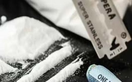 रायपुर में नशे का रैकेट:महाराष्ट्र और मध्यप्रदेश में बैठकर दवा कारोबारी कर रहे नशीली सिरप, टेबलेट और कैप्सूल की सप्लाई, कारोबारी समेत 6 लोग गिरफ्तार