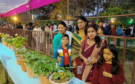 मैत्री गार्डन की तर्ज पर निगम द्वारा राजेंद्र पार्क फ्लावर-शो को लोगों का अच्छा प्रतिसाद मिला