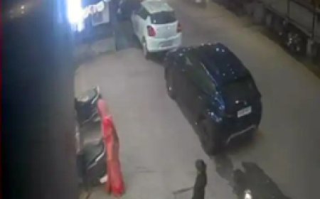 पलक झपकते ही गाड़ी की डिक्की से गहने चोरी.....मोबाइल में बात करने की एक्टिंग की, फिर मास्टर चाबी से खोल दिया लॉक