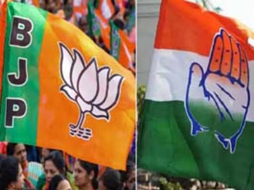कांग्रेस-भाजपा दोनों दलों ने शुरू की लोकसभा चुनाव की तैयारी:लोकसभा में सबसे छोटी जीत मंडावी तो सबसे बड़ी दुर्ग सांसद विजय बघेल की