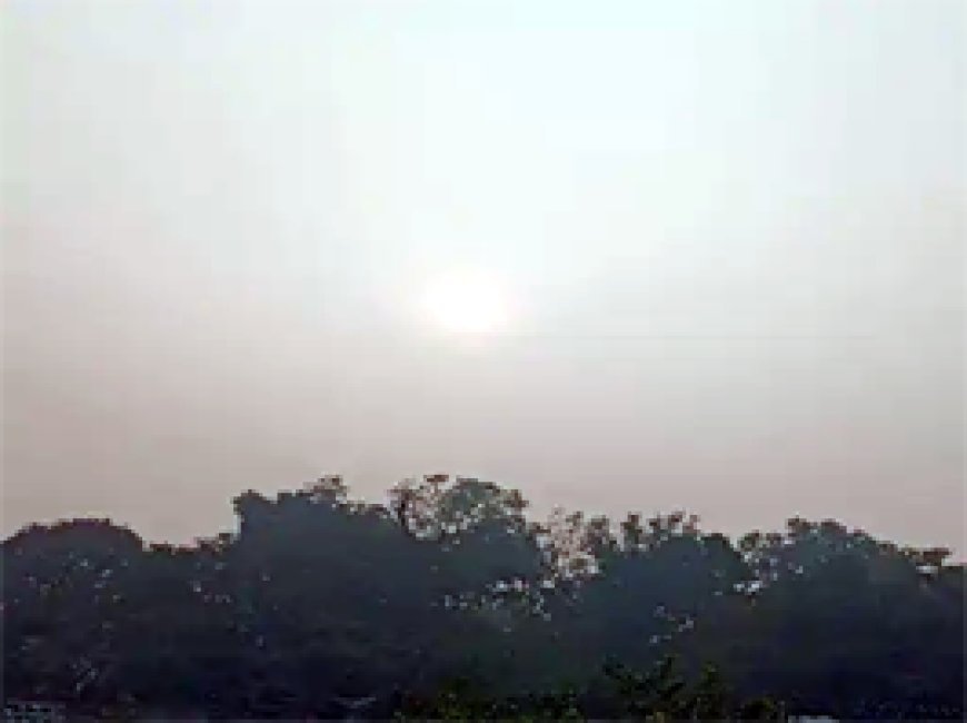 छत्तीसगढ़ में चढ़ने लगा पारा, कम हुई ठंड:48 घंटे में 2 डिग्री और बढ़ेगा न्यूनतम तापमान; रायपुर हुआ गर्म, रात में भी राहत