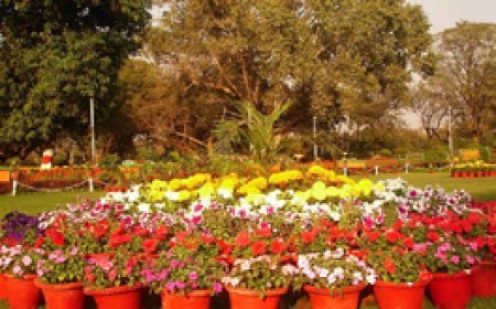 मैत्री बाग में फ्लावर शो आज, सुबह 9 बजे से ही पंजीयन होगा