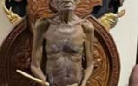 जैन मुनि आचार्य विद्यासागर महाराज ने समाधि ली:डोंगरगढ़ के चन्द्रगिरि तीर्थ में 3 दिन उपवास के बाद देह त्यागी