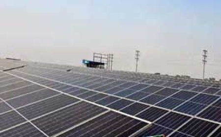 पीएम ने 50 मेगावाट सोलर पावर प्लांट का किया उद्घाटन.....280 करोड़ रुपए से तैयार सोलर प्लांट से होगी 360 करोड़ रुपए के राजसव की बचत