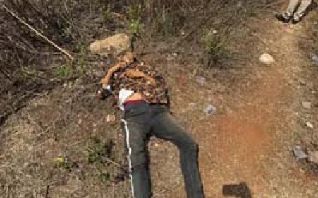 ब्रेकिंग न्यूज : दुर्ग आईजी कार्यालय के सामने मिली युवक की लाश....पुलिस जांच जुटी.... झाड़ियों के पास पत्थर से कुचल कर की गई हत्या