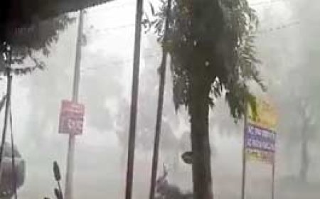 पेंड्रा में तेज बारिश के साथ गिरे ओले:कई जगहों पर पेड़ गिरने से बिजली गुल...