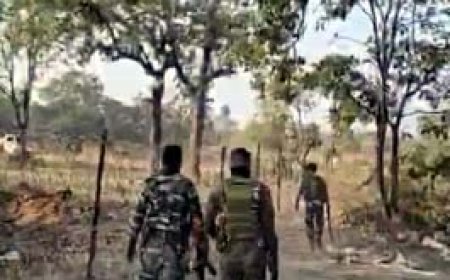 बीजापुर में मुठभेड़, 4 नक्सलियों को किया गया ढेर:​​​जंगल में कमांडर समेत 40-50 नक्सली थे मौजूद....