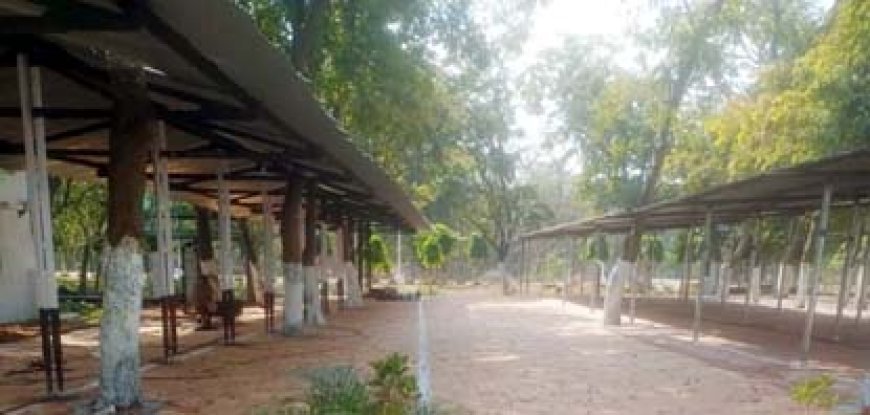 सेक्टर-9 अस्पताल में धूप और बारिश से बचाव के लिए नया शेड बना, 300 वाहनों की होगी पार्किंग