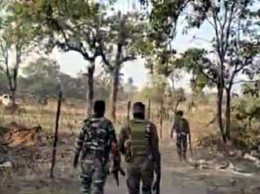 बीजापुर में मुठभेड़, 4 नक्सलियों को किया गया ढेर:जंगल में कमांडर समेत 40-50 नक्सली थे मौजूद....