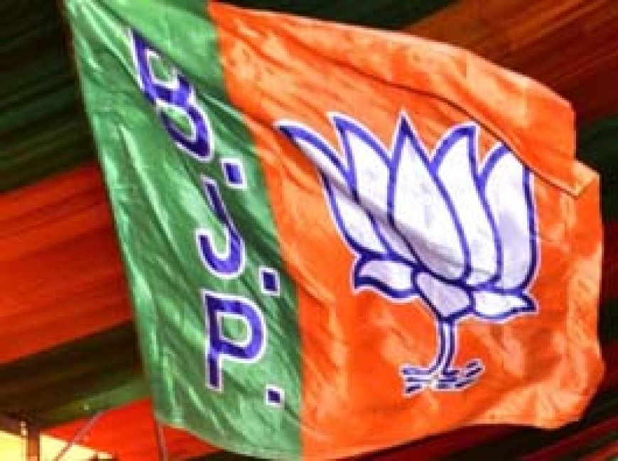  लोकसभा चुनाव को लेकर कल भाजपा की बड़ी बैठक....प्रत्याशियों के नामों की होगी घोषणा.....