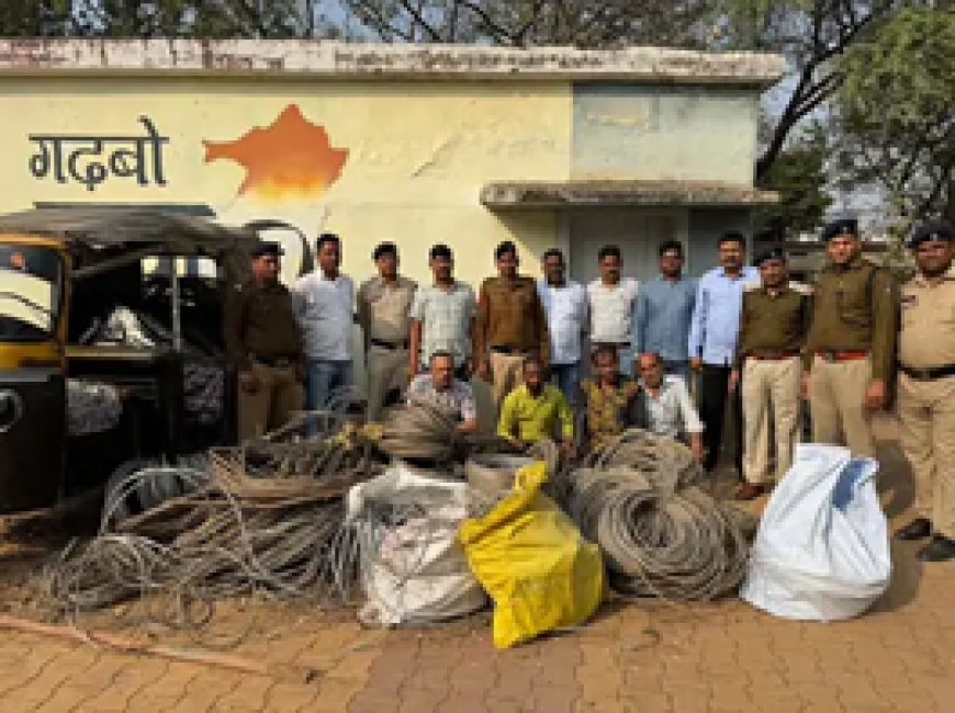 बिजली मीटर और लाइट चोरी करने वाले गिरोह का पर्दाफाश....किसानों के खेत से करते थे चोरी...