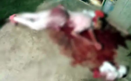 घर में सोते हुए दादी-पोते की हत्या.... पुलिस जांच में जुटी....