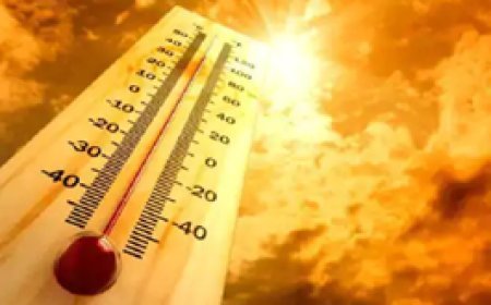 छत्तीसगढ़ के 9 जिलों में टेंपरेचर 40 डिग्री के करीब:डोंगरगढ़ में पारा 41 डिग्री चढ़ा....