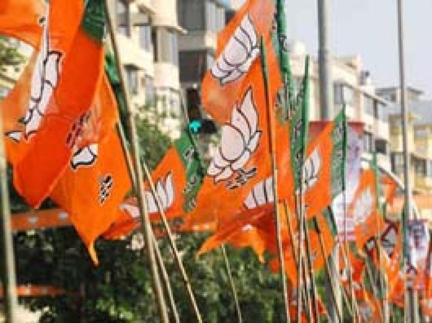 भारतीय जनता पार्टी के नये जिला पदाधिकारियों की सूची जारी.... देखें पूरी लिस्ट....