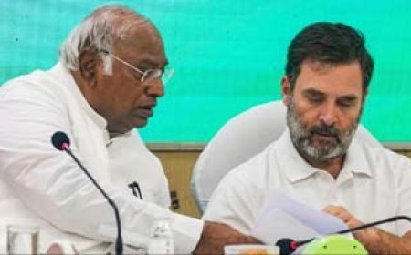 अमेठी का टिकट फाइनल करने से क्यों बच रही है कांग्रेस? क्या वायनाड में वोटिंग का है इंतजार