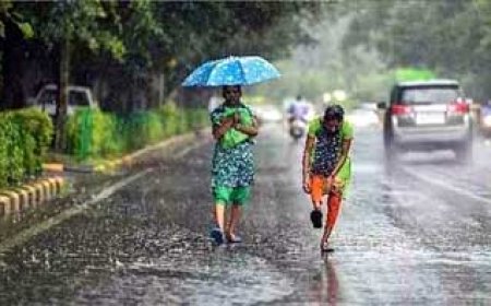 छत्तीसगढ़ के सभी संभागों में आज भी बारिश के आसार....मौसम विभाग का 13 अप्रैल तक के लिए यलो अलर्ट