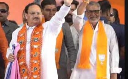 " जेपी नड्डा ने लिया संकल्प भाजपा ही विकल्प - ब्रजेश बिचपुरिया"