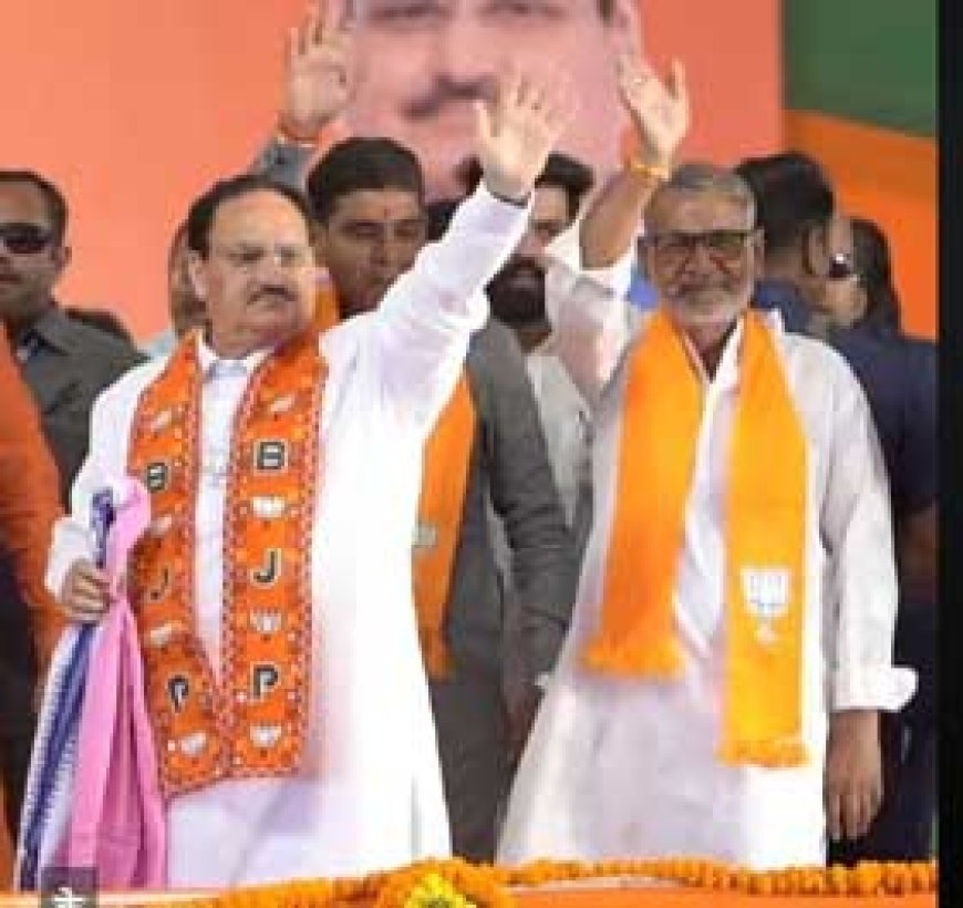 " जेपी नड्डा ने लिया संकल्प भाजपा ही विकल्प - ब्रजेश बिचपुरिया"