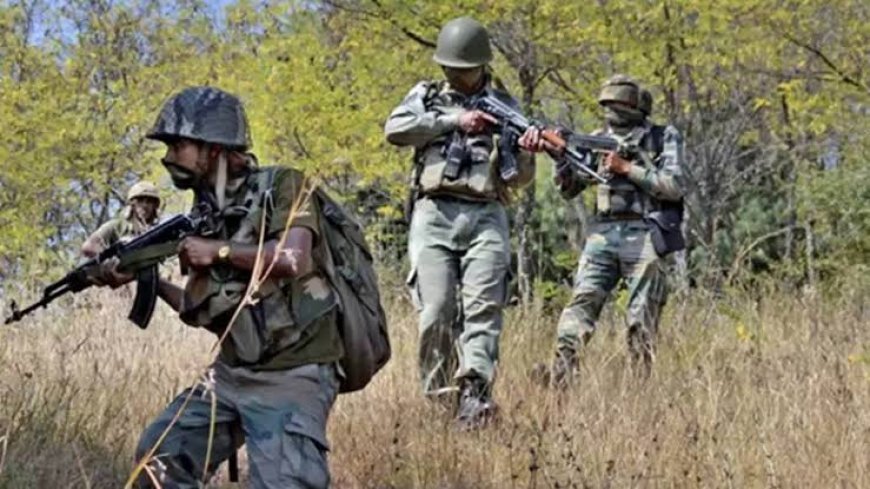 *BREAKING:- छत्तीसगढ़-महाराष्ट्र बॉर्डर पर मुठभेड़: 4 - 5 नक्सलियों के मारे जाने की खबर; नारायणपुर पुलिस ने माओवादियों के बड़े कैडर को घेरा मुठभेड़ जारी है*