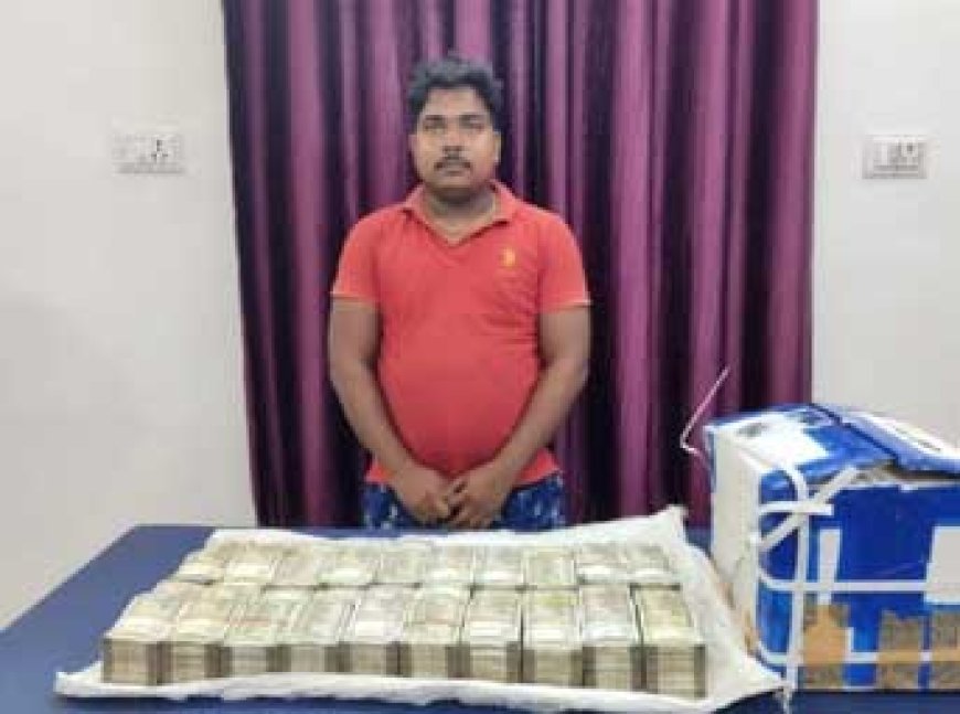 रायपुर में पकड़ाया 50 लाख रूपये कैश, आलू से भरे कार्टून में छिपाकर ले जा रहा था आरोपी...
