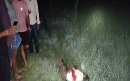 कुल्हाड़ी मारकर किसान की हत्या....खेत में पंप हाउस के पास पड़ी थी खून से लथपथ लाश......