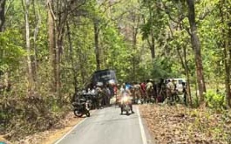 BSF जवानों से भरी बस पेड़ से टकराई, 17 घायल:4 जवानों की हालत गंभीर....