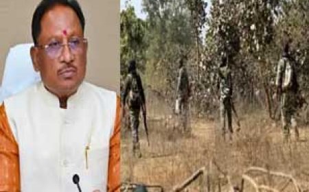 BREAKING NEWS: छत्तीसगढ़ में सुरक्षाबलों ने 12 नक्सलियों को मार गिराया.....बीजापुर मुठभेड़ में 2 जवान भी घायल...