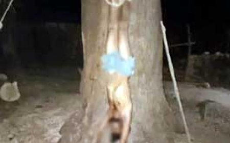 बेटा पानी मांगता रहा पिता और भाई पीटते रहे.....नशे की लत से परेशान होकर पेड़ पर उल्टा लटकाया...