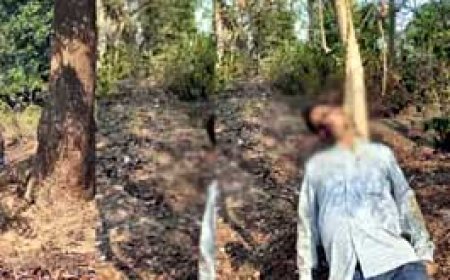 किसान का गला घोंटा, पेड़ पर लटकाया शव.......बिलासपुर में स्निफर डॉग ने जांच को दिया एंगल.....