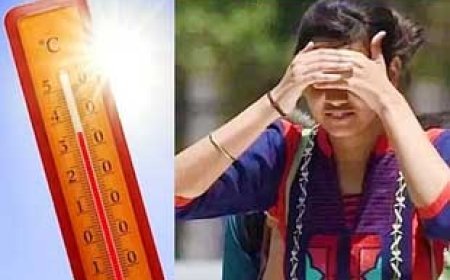छत्तीसगढ़ के इन संभागों में लू की चेतावनी....