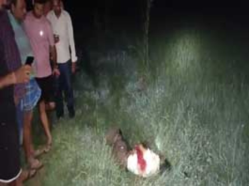 कुल्हाड़ी मारकर किसान की हत्या....खेत में पंप हाउस के पास पड़ी थी खून से लथपथ लाश......