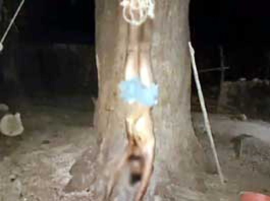 बेटा पानी मांगता रहा पिता और भाई पीटते रहे.....नशे की लत से परेशान होकर पेड़ पर उल्टा लटकाया...