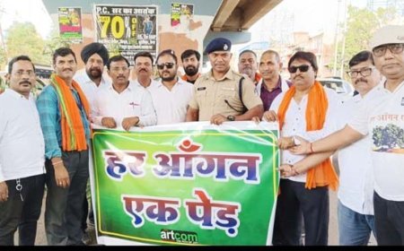 विश्व पर्यावरण दिवस पर आर्टकॉम ने सुपेला चौक में फ्री में पौधे वितरण किया      