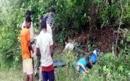सड़क हादसे में 3 दोस्तों की मौत.....ओडिशा से रायगढ़ लौट रहे थे बाइक सवार, रोड किनारे जंगल में मिली लाश