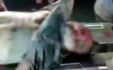 अनियंत्रित होकर दलपत सागर में गिरी कार....NMDC के 3 कर्मचारियों की हुई मौत.......  रायपुर और भिलाई के निवासी थे....