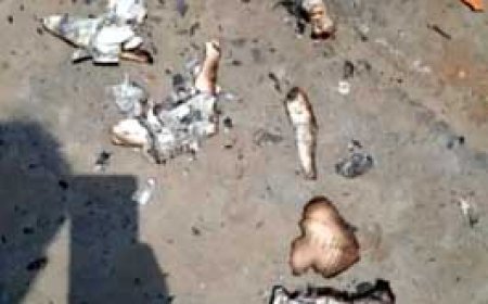 NEET का पेपर झारखंड से लीक हुआ, 6 हिरासत में...........जली बुकलेट का नंबर हजारीबाग का...