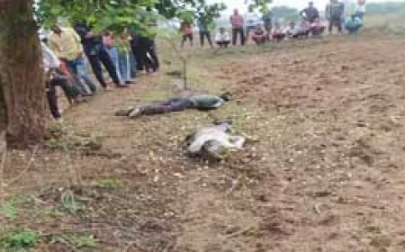 गाज गिरने से 2 लोगों की मौत......दोनों रविवार को खेत गए थे, शाम तक नहीं लौटे; सुबह पेड़ के नीचे मिली लाश