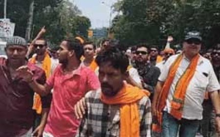 बछड़े को कार से कुचला...गौ-सेवकों ने घेरा SP दफ्तर........सड़क पर हिंदू संगठनों का हंगामा....