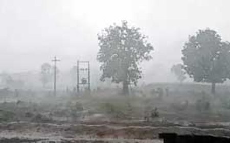 रायपुर, दुर्ग, बिलासपुर और बस्तर संभाग के जिलों में बारिश.....छत्तीसगढ़ के बांधों में सिर्फ 32% पानी...