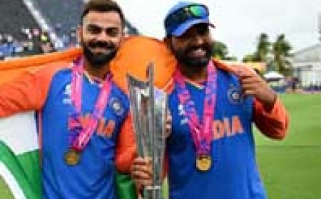 वर्ल्ड कप जिताकर रोहित-विराट का टी-20 से रिटायरमेंट....कोहली प्लेयर ऑफ द फाइनल; शर्मा ने ऑस्ट्रेलिया-इंग्लैंड को बाहर किया