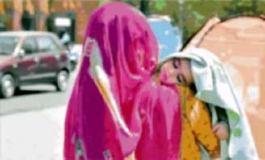 आसमान से बरस रही आग......10 साल में पहली बार मई में भीषण गर्मी, हीट-वेव से झुलस रहे परिंदे....