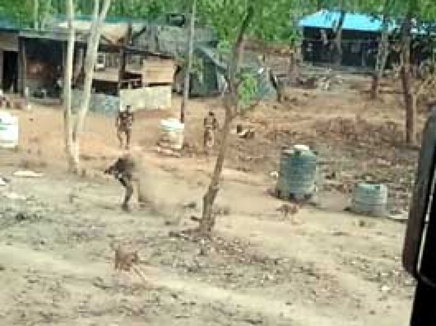BREAKING NEWS : छत्तीसगढ़ में नक्सली हमले का लाइव VIDEO:कैंप पर माओवादियों ने दागे BGL; बाल-बाल बचे जवान