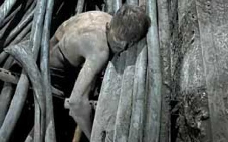 भिलाई स्टील प्लांट में मिला युवक का शव.....ब्लास्ट फर्नेस के पैनल के पास वायर के बीच फंसा