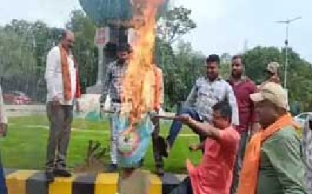 राहुल गांधी के हिंदू विरोधी बयान पर भड़के भाजपाई:विश्व हिंदू परिषद ने फूंका पुतला