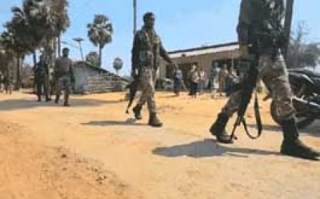 मुठभेड़ से लौट रहे जवानों पर IED ब्लास्ट से हमला........छत्तीसगढ़-महाराष्ट्र बॉर्डर पर 8 घंटे फायरिंग, 5 नक्सलियों के शव मिले......