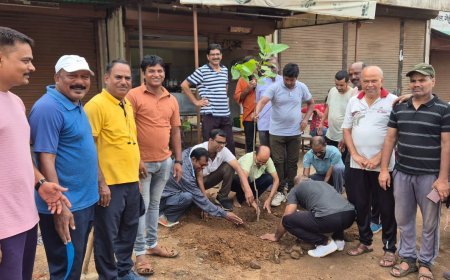 *एक पेड़ मां के नाम अभियान के तहत आज राधिका नगर  हम साथ साथ हैं ग्रुप के सदस्यों द्वारा मेन रोड पर वृहद वृक्षारोपण किया